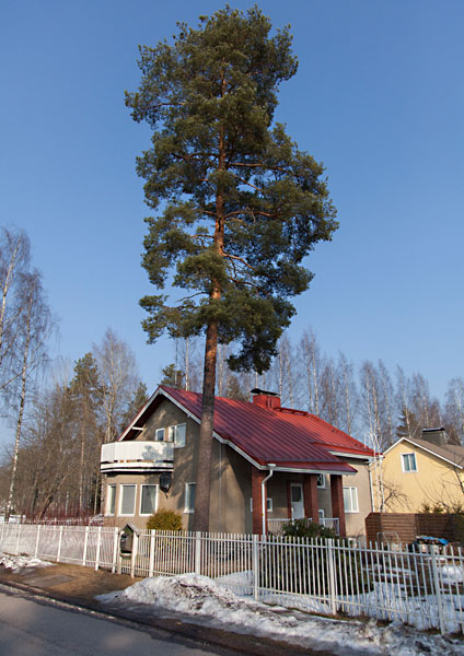 Pappilankadun ja Pengerkujan kulma